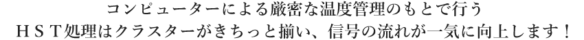 コンピューターによる厳密な温度管理のもとで行うEXC処理はクラスターがきちっと揃い、信号の流れが一気に向上します！